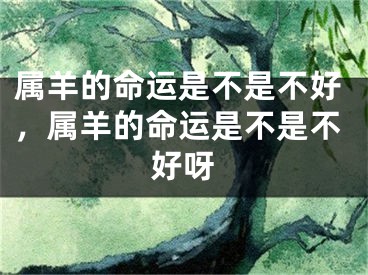 属羊的命运是不是不好，属羊的命运是不是不好呀