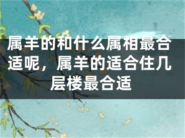属羊的和什么属相最合适呢,属羊的适合住几层楼最合适
