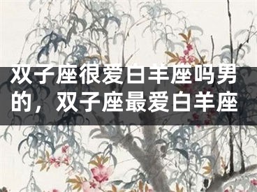 双子座很爱白羊座吗男的，双子座最爱白羊座