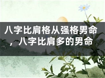 八字比肩格从强格男命，八字比肩多的男命