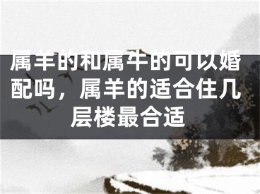 属羊的和属牛的可以婚配吗，属羊的适合住几层楼最合适