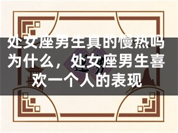 处女座男生真的慢热吗为什么，处女座男生喜欢一个人的表现