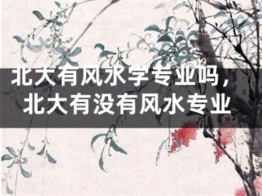 北大有风水学专业吗,北大有没有风水专业