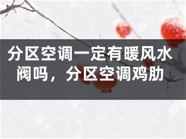 分区空调一定有暖风水阀吗,分区空调鸡肋