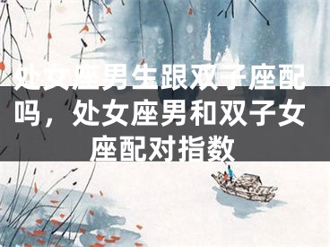 处女座男生跟双子座配吗,处女座男和双子女座配对指数