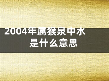 2004年属猴泉中水是什么意思