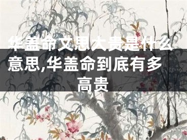 华盖命文思大贵是什么意思,华盖命到底有多高贵