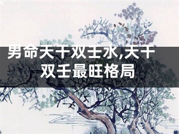 男命天干双壬水,天干双壬最旺格局