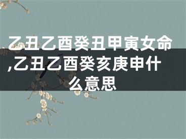 乙丑乙酉癸丑甲寅女命,乙丑乙酉癸亥庚申什么意思