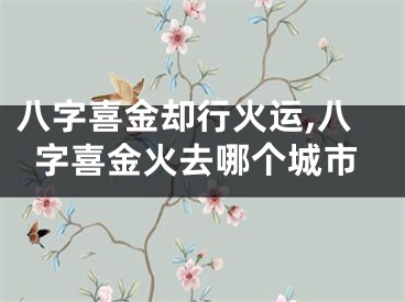 八字喜金却行火运,八字喜金火去哪个城市