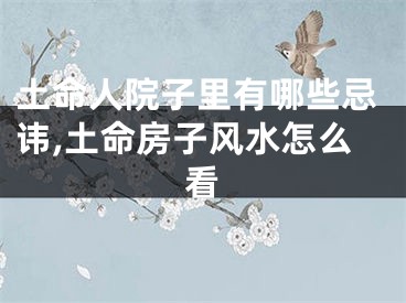 土命人院子里有哪些忌讳,土命房子风水怎么看