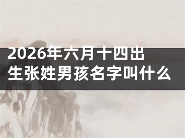 2026年六月十四出生张姓男孩名字叫什么