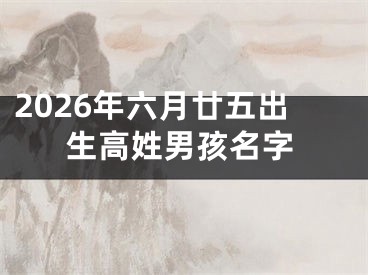 2026年六月廿五出生高姓男孩名字