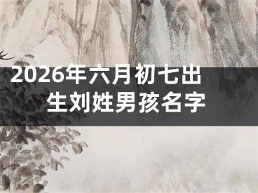 2026年六月初七出生刘姓男孩名字
