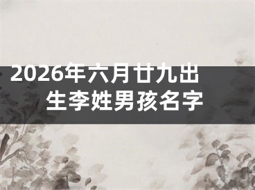 2026年六月廿九出生李姓男孩名字
