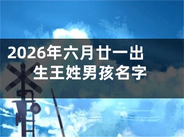 2026年六月廿一出生王姓男孩名字