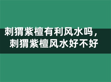 刺猬紫檀有利风水吗,刺猬紫檀风水好不好