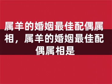 属羊的婚姻最佳配偶属相，属羊的婚姻最佳配偶属相是