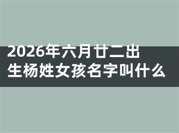 2026年六月廿二出生杨姓女孩名字叫什么