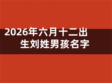 2026年六月十二出生刘姓男孩名字