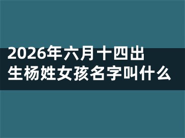 2026年六月十四出生杨姓女孩名字叫什么