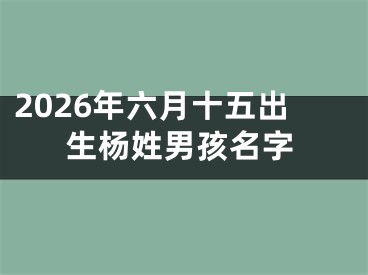 2026年六月十五出生杨姓男孩名字