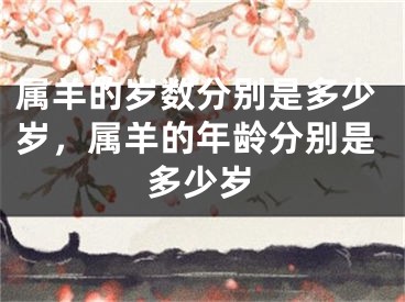 属羊的岁数分别是多少岁,属羊的年龄分别是多少岁