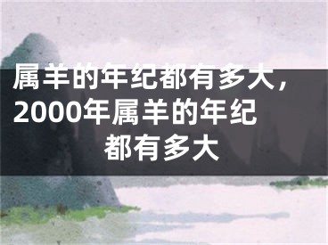 属羊的年纪都有多大,2000年属羊的年纪都有多大