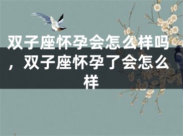 双子座怀孕会怎么样吗,双子座怀孕了会怎么样