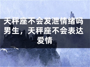 天秤座不会发泄情绪吗男生，天秤座不会表达爱情