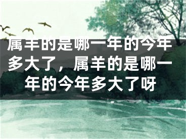 属羊的是哪一年的今年多大了,属羊的是哪一年的今年多大了呀