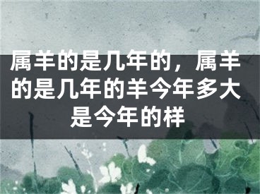 属羊的是几年的，属羊的是几年的羊今年多大是今年的样