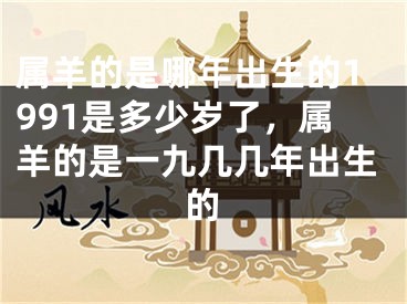 属羊的是哪年出生的1991是多少岁了，属羊的是一九几几年出生的