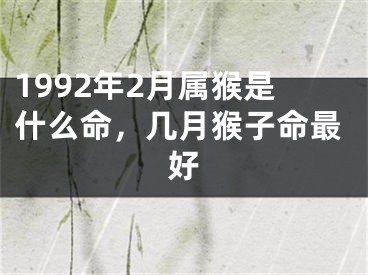 1992年2月属猴是什么命，几月猴子命最好