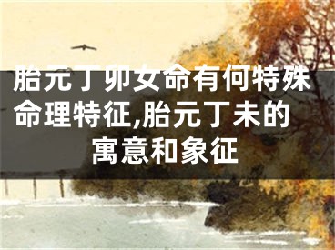 胎元丁卯女命有何特殊命理特征,胎元丁未的寓意和象征