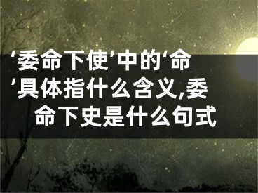 ‘委命下使’中的‘命’具体指什么含义,委命下史是什么句式