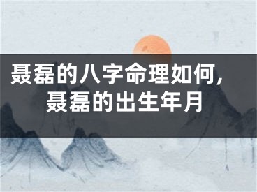 聂磊的八字命理如何,聂磊的出生年月