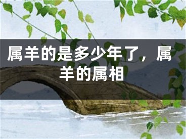 属羊的是多少年了,属羊的属相