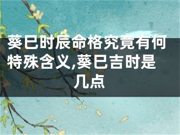 葵巳时辰命格究竟有何特殊含义,葵巳吉时是几点