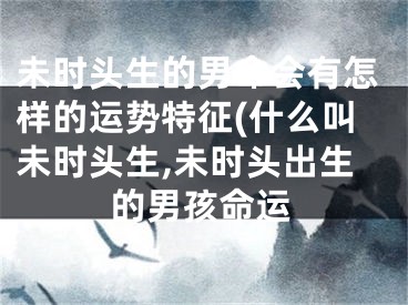 未时头生的男命会有怎样的运势特征(什么叫未时头生,未时头出生的男孩命运