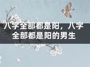 八字全部都是阳,八字全部都是阳的男生