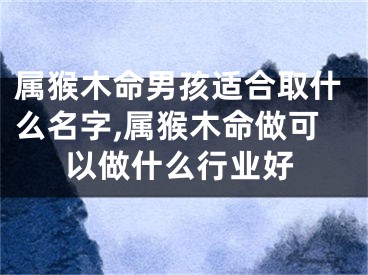 属猴木命男孩适合取什么名字,属猴木命做可以做什么行业好