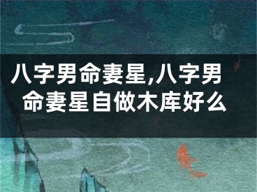 八字男命妻星,八字男命妻星自做木库好么