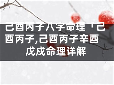己酉丙子八字命理「己酉丙子,己酉丙子辛酉戊戍命理详解