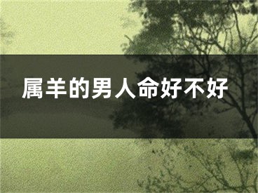 属羊的男人命好不好
