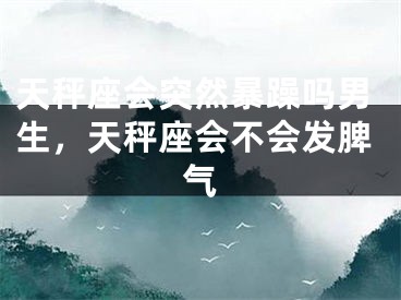 天秤座会突然暴躁吗男生,天秤座会不会发脾气