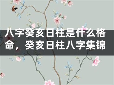 八字癸亥日柱是什么格命，癸亥日柱八字集锦