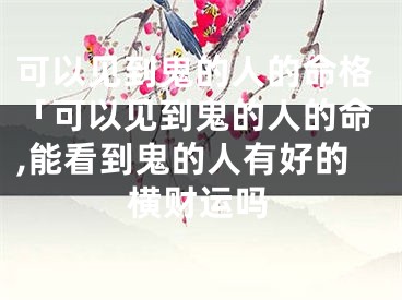 可以见到鬼的人的命格「可以见到鬼的人的命,能看到鬼的人有好的横财运吗