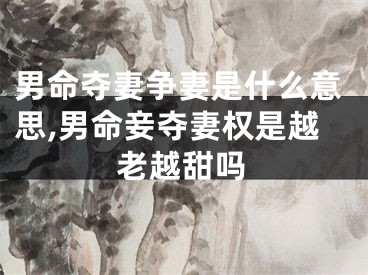 男命夺妻争妻是什么意思,男命妾夺妻权是越老越甜吗