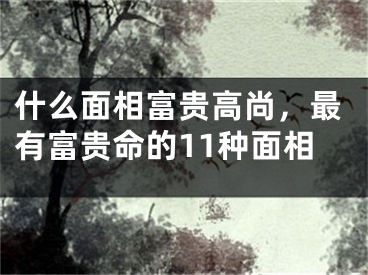 什么面相富贵高尚，最有富贵命的11种面相